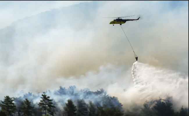 Incendies dévastateurs en Turquie : plus de 50 000 évacuations à Izmir, l'aéroport suspend ses opérations