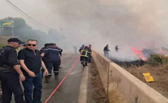 Évacuation de 20 familles et mobilisation massive pour éteindre les incendies à Chréa, Blida
