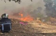 Efforts intensifs de la Protection civile pour combattre 3 incendies de forêts à Tizi Ouzou