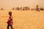 En plein été brûlant, les généraux expulsent et abandonnent des milliers de migrants africains dans le désert sans eau ni nourriture