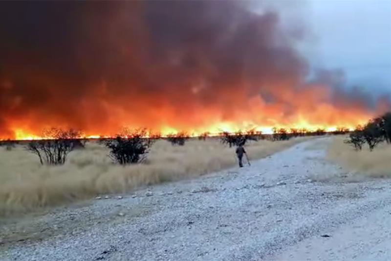 Namibie : l’armée mobilisée contre l’incendie qui ravage l’une des plus grandes réserves d’Afrique, le parc d’Etosha