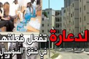 Croissance démographique en Algérie : défis des maladies, de la prostitution et de la pauvreté