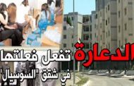 Croissance démographique en Algérie : défis des maladies, de la prostitution et de la pauvreté
