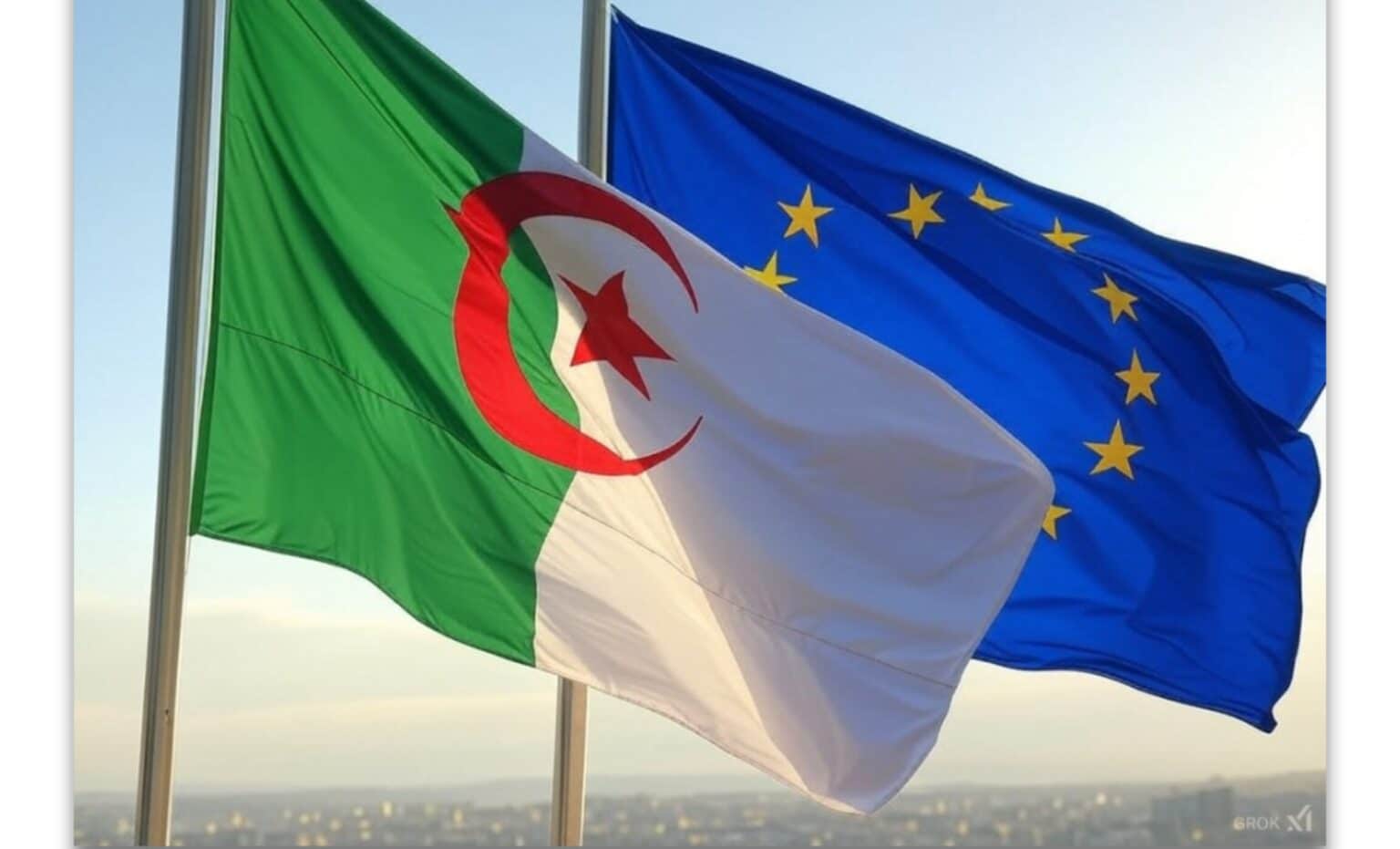 Algérie-UE : nouveau pacte pour la Méditerranée, quelles concessions pour l'intégration ?