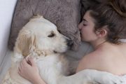Un mari vend l’honneur de sa femme à des étrangers et des chiens pour une bouchée de pain sous le règne infâme de Tebboune