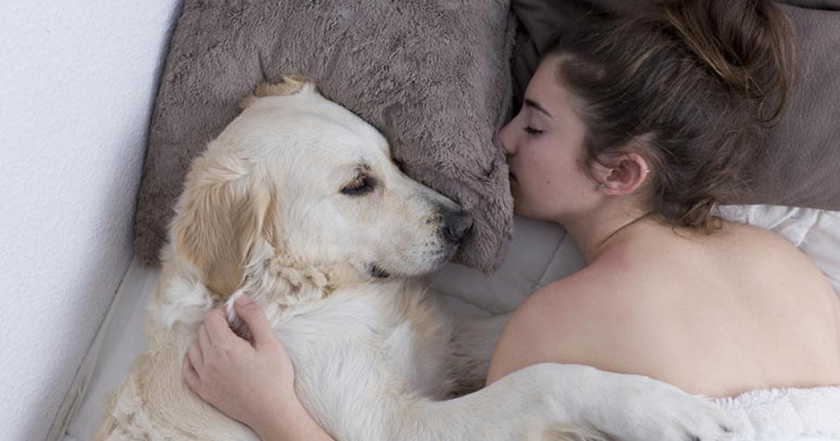 Un mari vend l’honneur de sa femme à des étrangers et des chiens pour une bouchée de pain sous le règne infâme de Tebboune