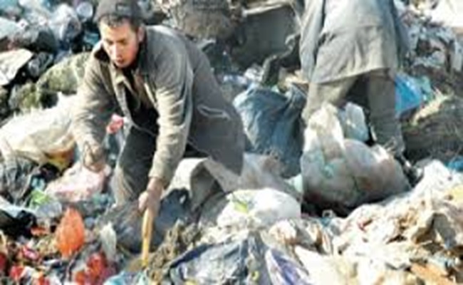 Dans l’Algérie « nouvelle », des enfants affamés se battent avec chiens et chats pour des miettes dans les poubelles !