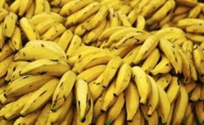 El Oued : Saisie de 530 kg de bananes vendues à plus de 400 DA/kg sur le trottoir