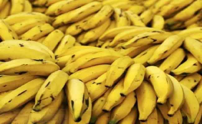 El Oued : plus de 530 kg de bananes saisis pour vente illégale à prix spéculatif supérieur à 400 DA/kg