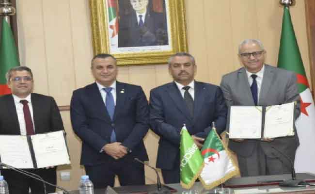 Démantèlement d’un réseau de trafic de psychotropes à Touggourt : 7438 capsules saisies