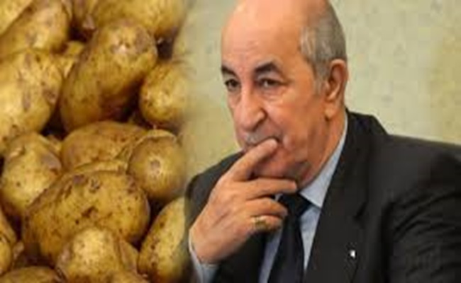 La pomme de terre, arme fatale de l’Algérie pour conquérir le monde