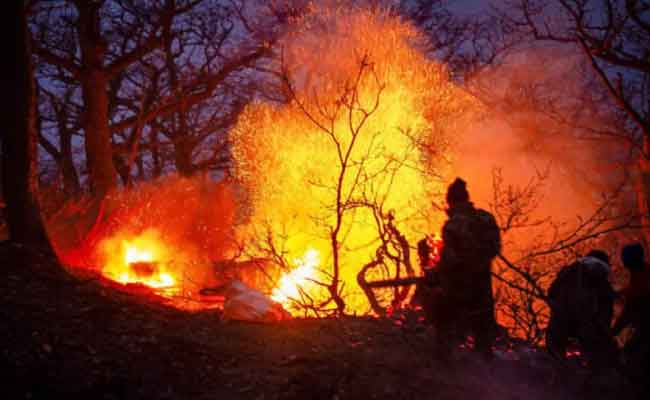 Téhéran : Les forêts hyrcaniennes, classées au patrimoine mondial de l’UNESCO, réduites en cendres par un incendie dévastateur