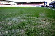 Stade de Douéra : 2 millions d’euros de pelouse anéantis par…l’eau du robinet