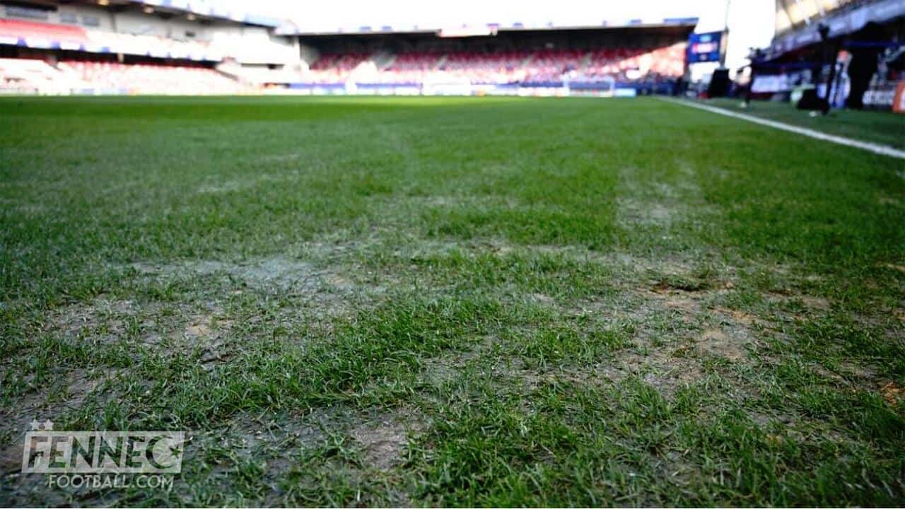 Stade de Douéra : 2 millions d’euros de pelouse anéantis par…l’eau du robinet