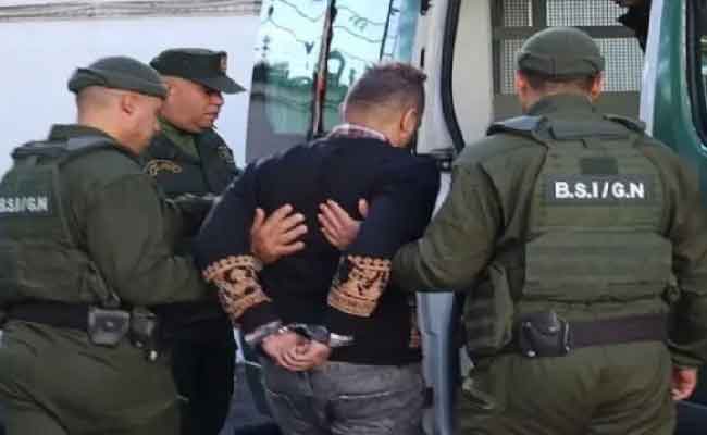 Béjaïa : la gendarmerie saisit 6 plants de cannabis et 15 graines à Oued Ghir