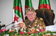 L’honneur militaire d’Alger en question face à l’existence de ses mercenaires au Sahel
