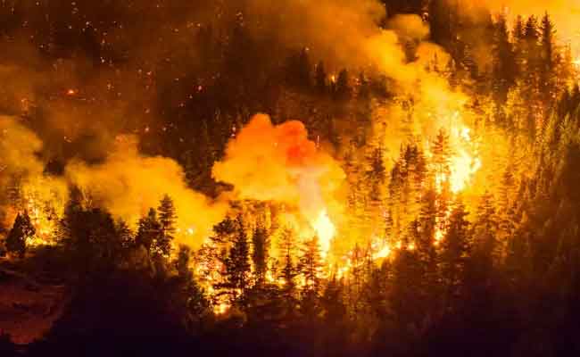 Argentine : Plus de 3 000 touristes évacués face aux incendies les plus dévastateurs depuis 30 ans