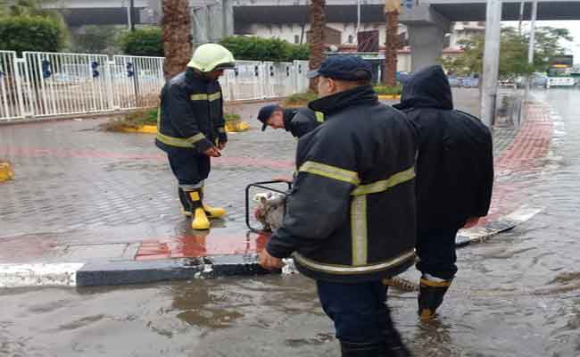 Chute d’un arbre sur un enfant, effondrement de mur de 2 pièces, de toit d’habitation et de mur mitoyen