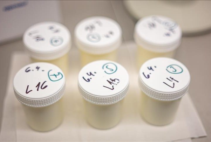 France : 24 familles assignent l’État et des industriels en justice après des intoxications présumées liées à des laits infantiles