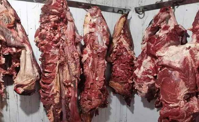 Saisie de près de 600 kg de viande impropre à la consommation à l’Oran