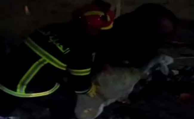 Effondrement d’une bergerie à Médéa : 37 moutons périssent, 17 sauvés