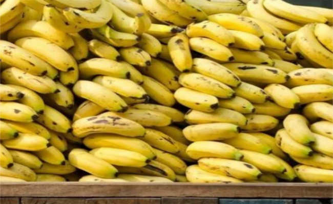 Constantine : Saisie de 8 quintaux de bananes pour défaut de facturation