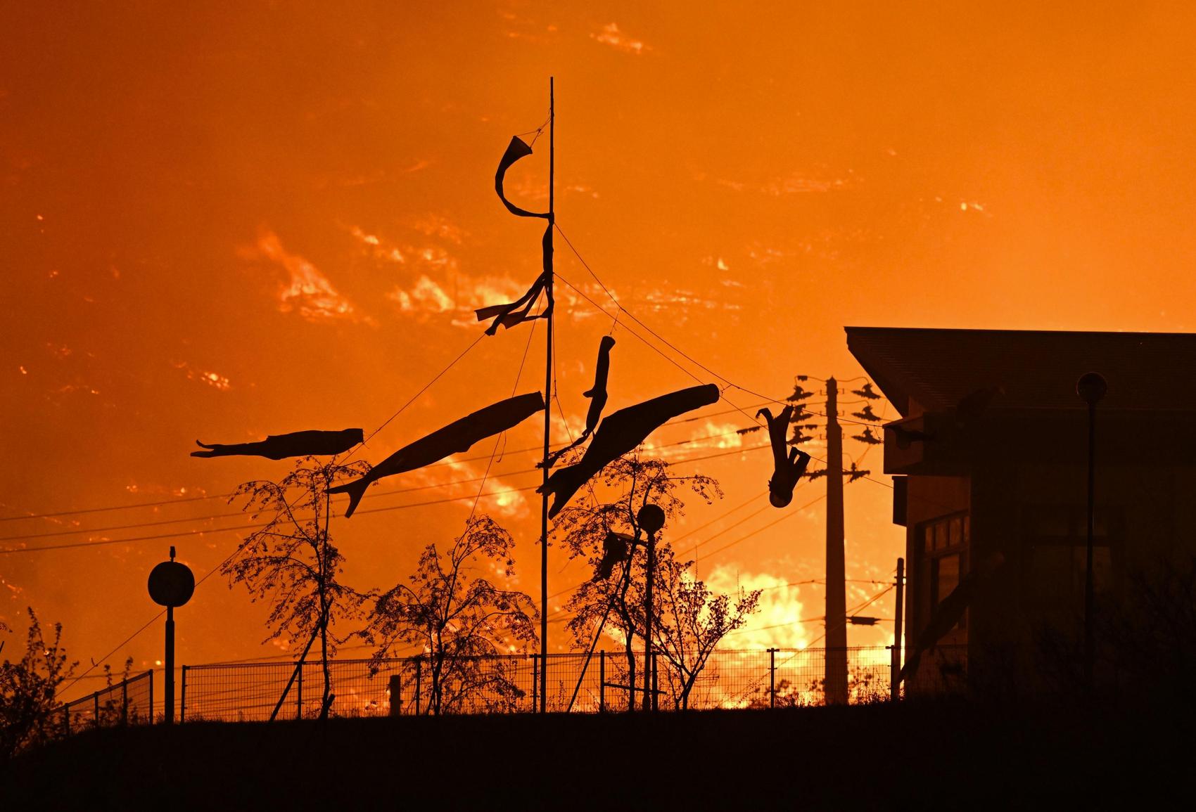 Japon : les incendies en Iwate menacent le centre-ville d’Otsuchi, plus de 2 500 évacuations