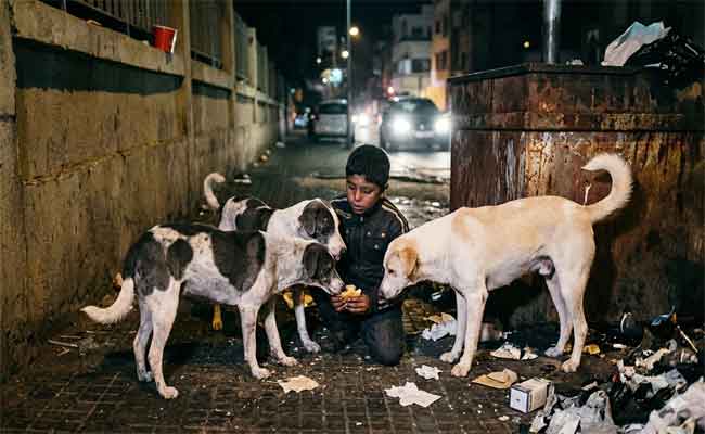 Enfants abandonnés en Algérie : de la richesse du pétrole et du gaz à la misère des rues, une faillite humaine qui accuse le régime