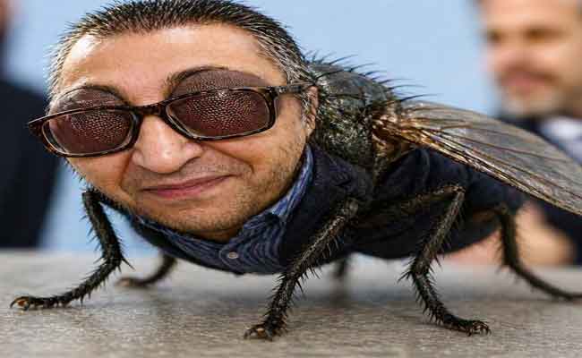 Mohamed Tebboune : L’architecte d’un monde de miroirs