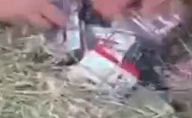 M’sila : Les douanes déjouent un trafic de psychotropes camouflés dans du foin