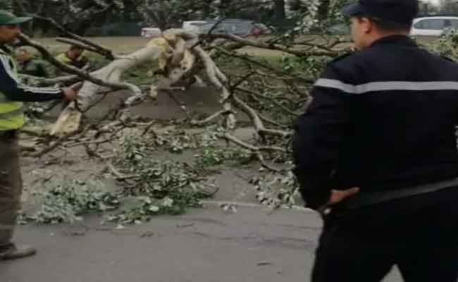 Intempéries à Alger : plusieurs incidents matériels signalés par la Protection civile