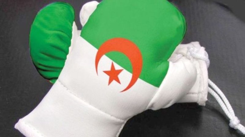 Boxe en Algérie : entre tensions internes et volonté de renouveau, la Fédération gèle les sanctions disciplinaires