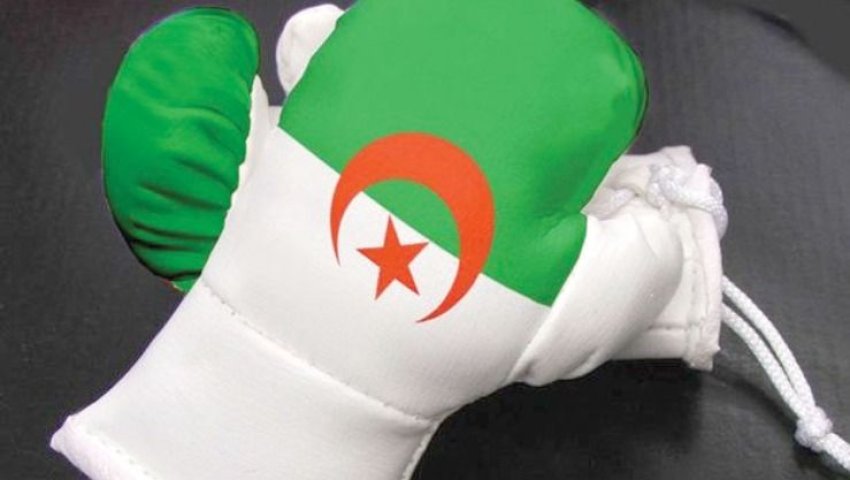 Boxe en Algérie : entre tensions internes et volonté de renouveau, la Fédération gèle les sanctions disciplinaires