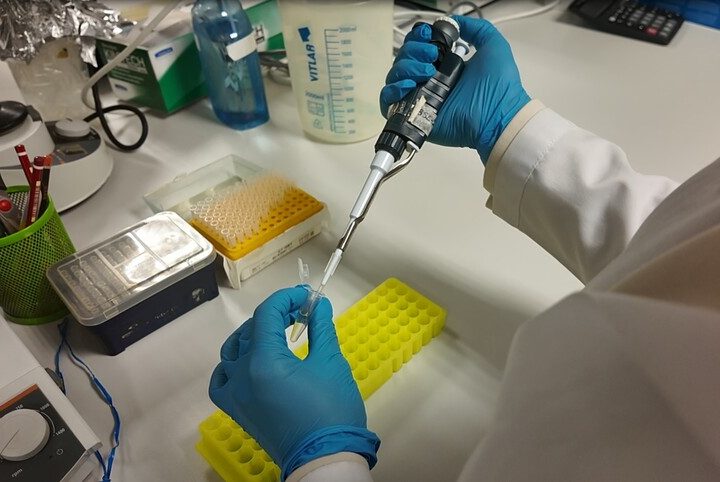 RDC : l’OMS alerte sur une nouvelle flambée d’Ebola après la confirmation de 13 cas en Ituri