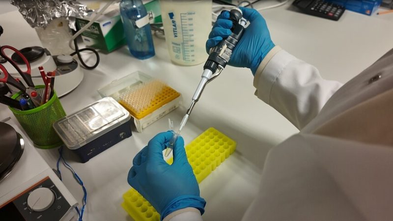 RDC : l’OMS alerte sur une nouvelle flambée d’Ebola après la confirmation de 13 cas en Ituri