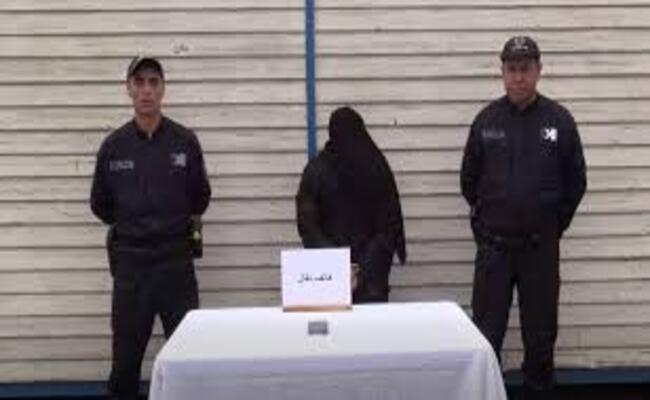 Alger : Arrestation d’une créatrice de contenu pour outrage à corps constitué et atteinte à la pudeur
