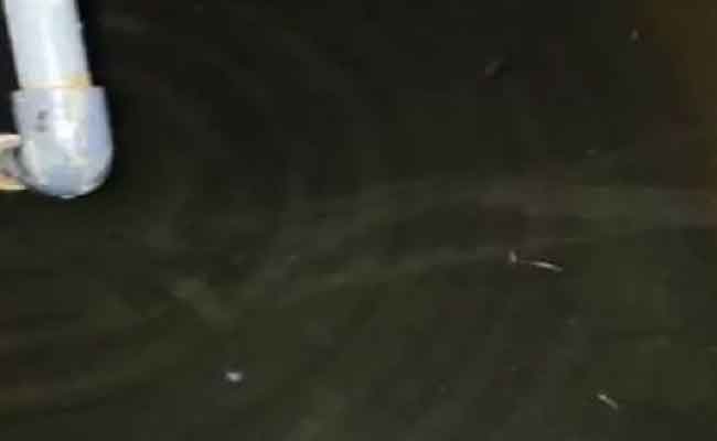 Décès de 2 personnes par asphyxie dans un réservoir d&rsquo;eau à El Oued