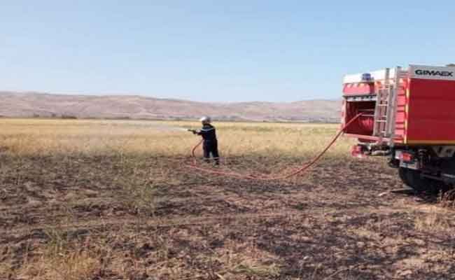 Incendie à Chlef : Trois hectares de blé ravagés à Oued Fodda