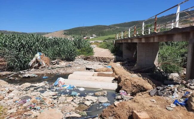 Sous l&rsquo;ère de Tebboune, légumes et fruits en Algérie au goût d&rsquo;excréments et de pétrole