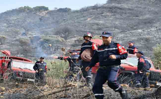 Maîtrise de l&rsquo;ensemble des 1968 incendies