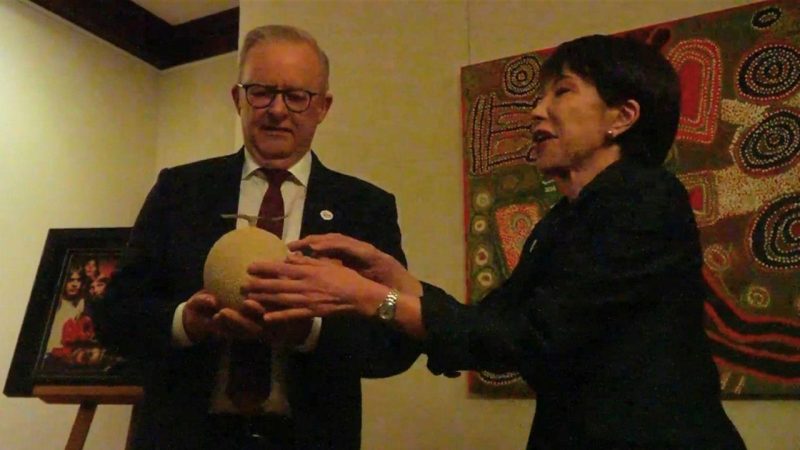 Australie-Japon : Anthony Albanese critiqué pour ses propos sur deux melons offerts par Sanae Takaichi