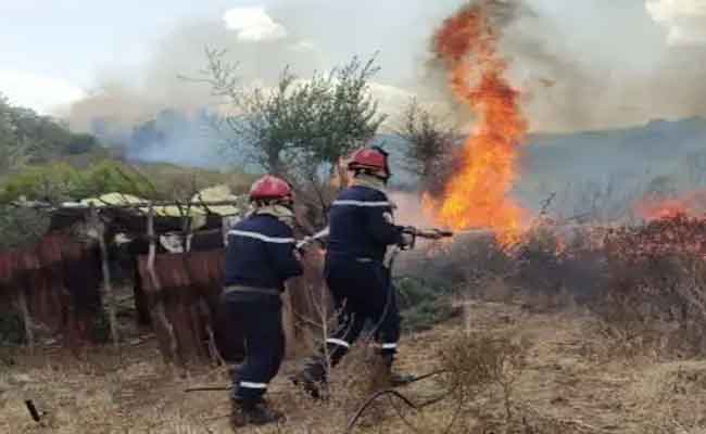Sayoud annonce 12 décès dus aux incendies