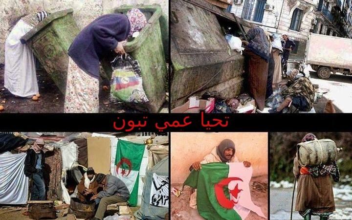 L&rsquo;Algérien mange les ordures, boit les eaux usées, et le Président Tebboune lui rétorque qu&rsquo;il est envié pour sa vie