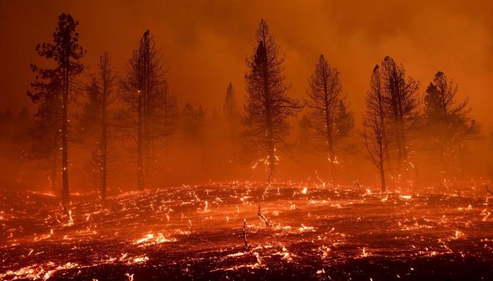 Californie : des milliers d’hectares ravagés par les incendies, les pompiers s’efforcent de contenir les flammes