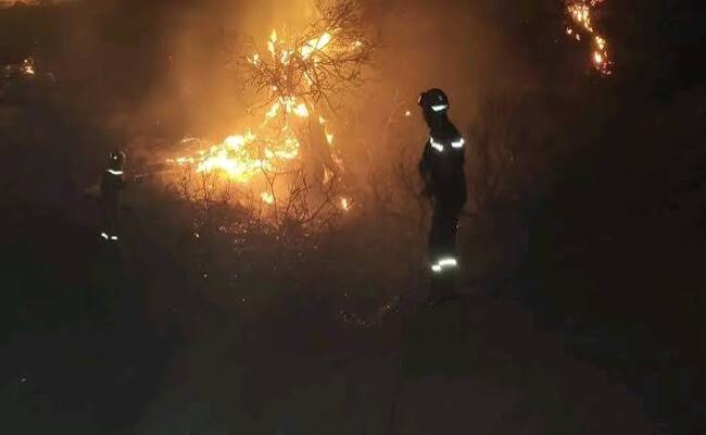 Incendie de Guelma…Les flammes dévorent les broussailles et les oliviers