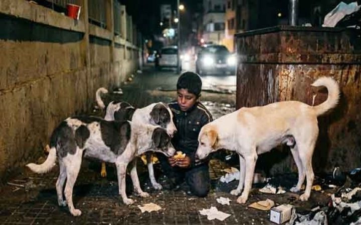 Dans l’Algérie nouvelle, tout le monde se mord la queue de la faim du citoyen et du chien, et aucun des deux ne peut aboyer contre son maître le général
