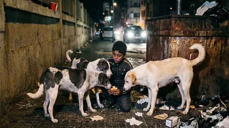 Dans l’Algérie nouvelle, tout le monde se mord la queue de la faim du citoyen et du chien, et aucun des deux ne peut aboyer contre son maître le général