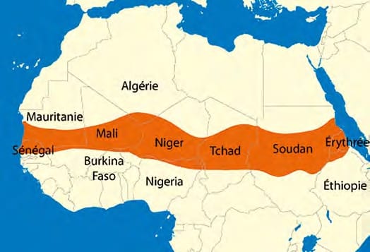 Le Sahel tourne le dos à Alger : Le fiasco d’une diplomatie du muscle et du mépris
