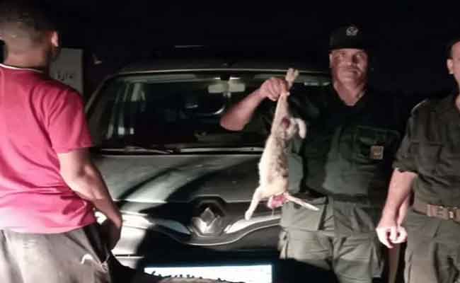 La chasse sans permis implique 5 personnes à Médéa