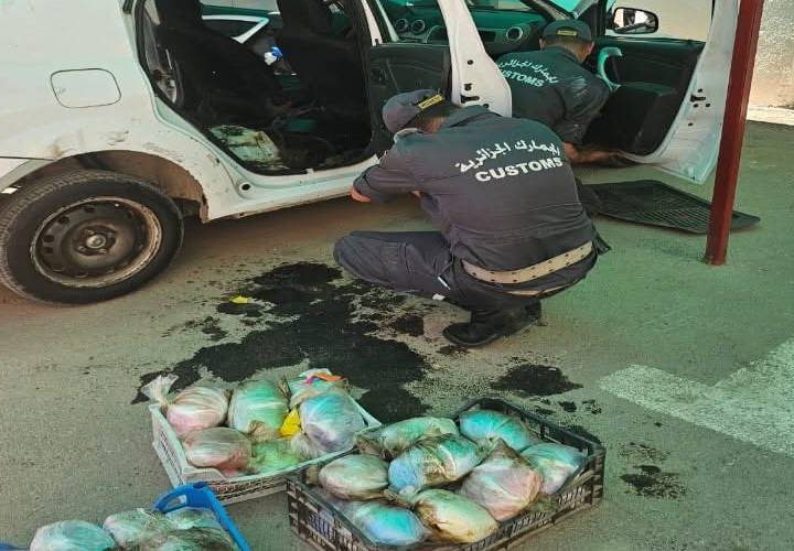 Chlef : plus de 21 kilogrammes de kif traité saisis par les douanes et la sécurité